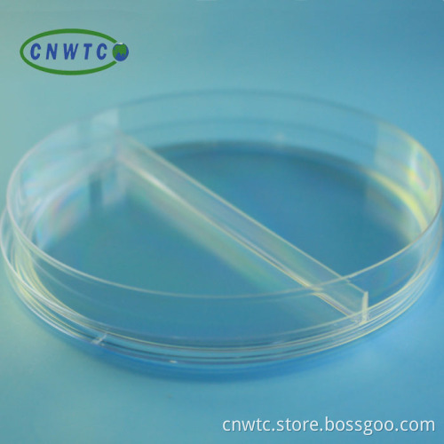 Plasticware Disposables: Clear 90mm Petri Dishes - Your Comprehensive Search Engine
